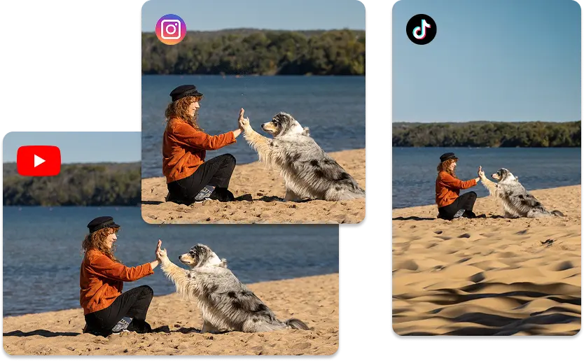 Common Aspect Ratios in 1 Click